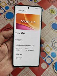 Vivo X90 12/256