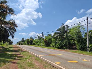 Agricultural Land in Yong Peng, JHR
