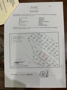 Residential Land in Marang, TRG