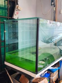fish aquarium