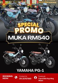 Yamaha PG-1
