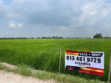 Agricultural Land in Tanjong Karang, SGR