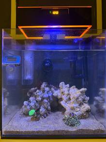 Aquarium full set