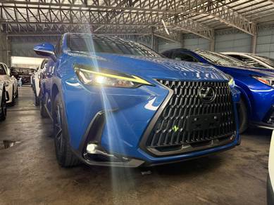 Lexus NX 250 BASE GRADE in Bandar Kinrara, SGR