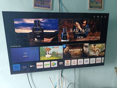 TV LG 55inch