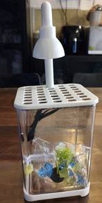 Aquarium mini