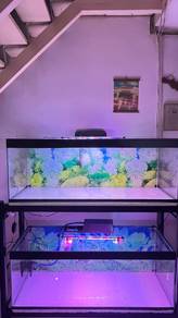 4 ft Aquarium 