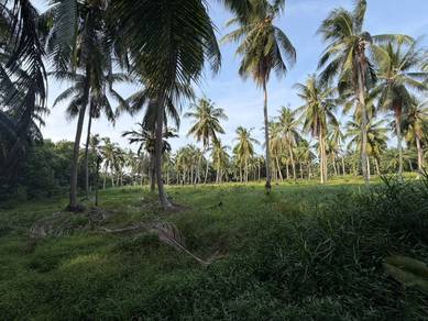 Agricultural Land in Kukup, JHR