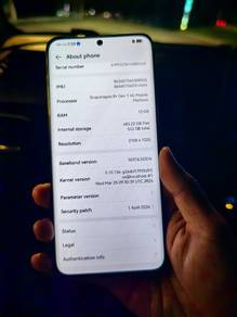 Phone Huawei P60 Pro