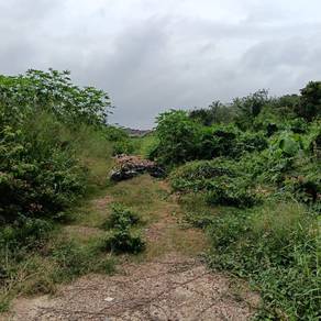 Agricultural Land in Segamat, JHR