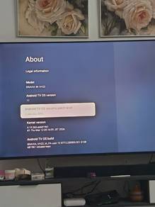 Samsung Tv, bhavia 4k 65inch