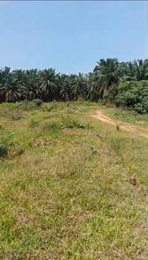 Agricultural Land in Segamat, JHR