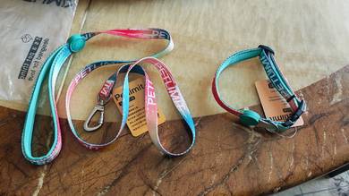dogs leash and collar 