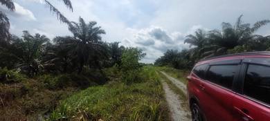 Agricultural Land in Kulai, JHR