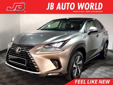 2018 Lexus NX 300 PREMIUM