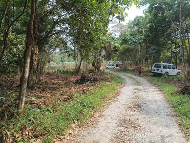 Agricultural Land in Batang Kali, SGR