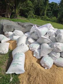 Sekam kuning Dan bakar