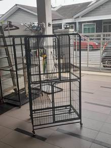kandang dan sangkar kucing