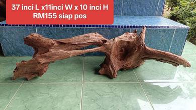 aquarium driftwood untuk tank 4kaki keatas