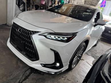 2023 Lexus NX 250 LUXURY