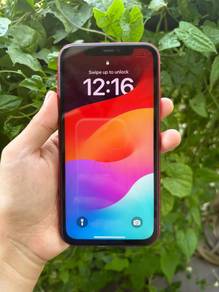 ip11