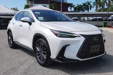 Lexus NX 250 LUXURY in Kuching, SWK