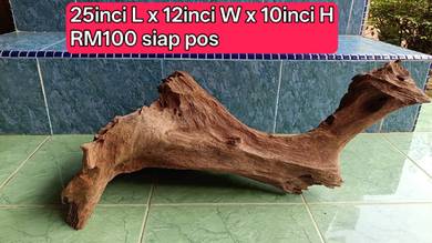Driftwood  BODY LICIN besar solid & tenggelam