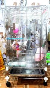 Stainless Steel Cage 