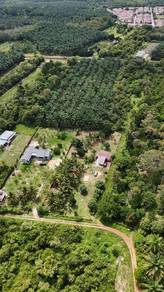 Agricultural Land in Kuala Linggi, MLK