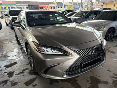 2019 Lexus ES 250 LUXURY