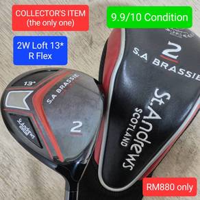 RARE 2 Wood - S.A BRASSIE (Loft 13*) with R Flex