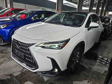 2023 Lexus NX 250 BASE GRADE