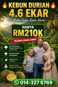 Others For Sale in Kuala Nerus,TRG