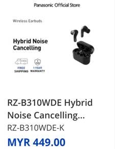 Earphone Hybrid Noise Cancelling