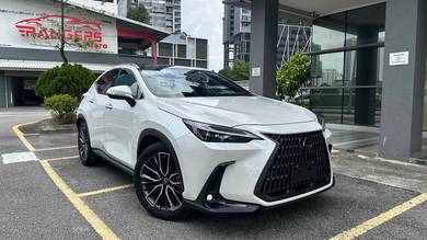 2023 Lexus NX 250 LUXURY