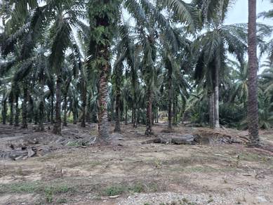 Mixed Development Land in Kuantan, PHG
