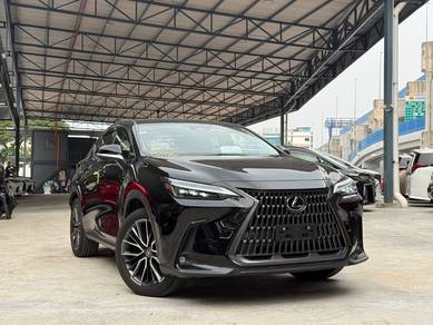 2022 Lexus NX 250 LUXURY