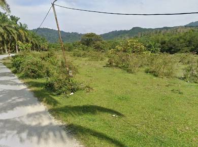 Agricultural Land in Kulim, KDH