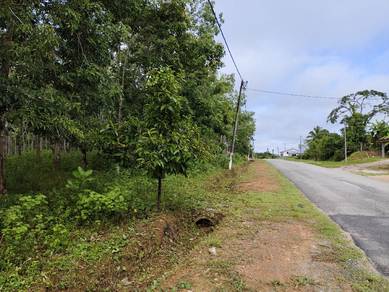 Agricultural Land in Kuala Nerang, KDH