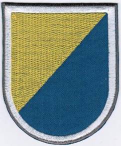 8th Special Forces Beret Flash USA Army Patch