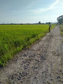 Agricultural Land in Merbok, KDH