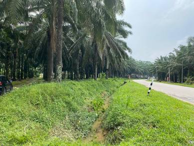 Others Land in Simpang Durian, NSN