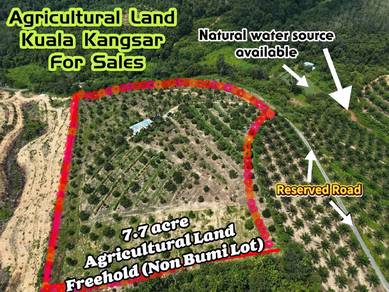 Agricultural Land in Kuala Kangsar, PRK