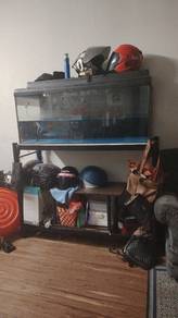 aquarium dan ikan arowana SR 