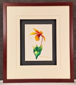 Framed Watercolor Painting o - Epigeneium longipes