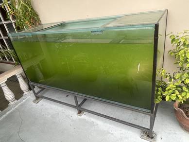 aquarium
