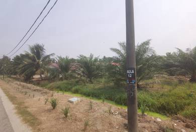Agricultural Land in Kuala Selangor, SGR
