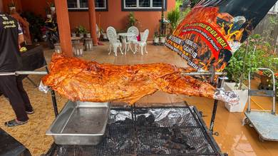 Wcy Kb kambing golek paduuuuu bohhhhh 🤤