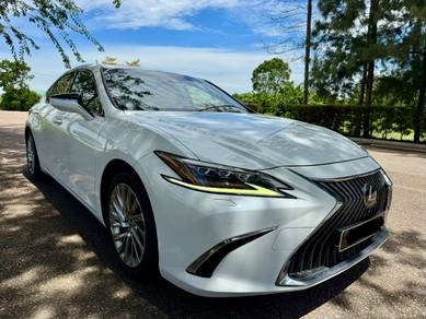 Lexus ES 250 LUXURY in Johor Bahru, JHR