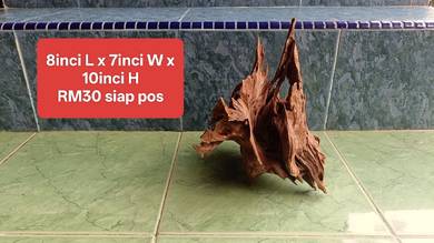 Driftwood untuk tank 30cm